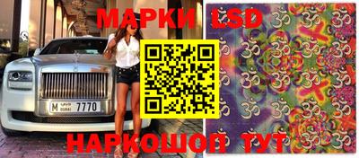 прущие крисы Малгобек