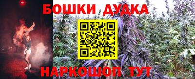 прущие крисы Малгобек