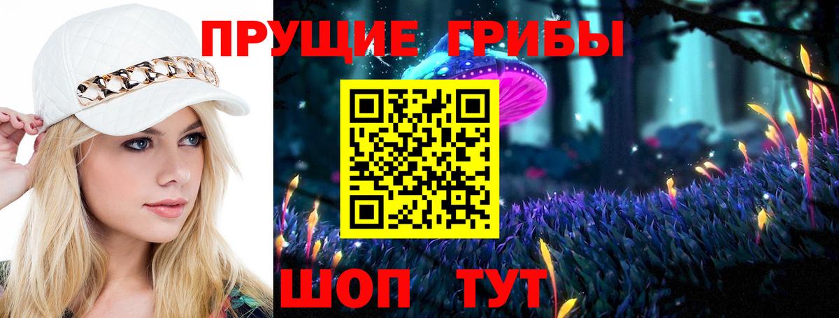 Галлюциногенные грибы ЛСД  Вход с VPN  Черногорск 